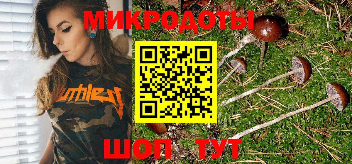 Псилоцибиновые грибы GOLDEN TEACHER Можайск